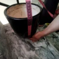 گل و گلدان سفالی|گل و گیاه طبیعی|مشهد, مشکینی (شهرک غرب)|دیوار