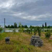 ۱۸۰ متر زمین مسکونی با موقیعت استثنایی/سند تک برگ|فروش زمین و ملک کلنگی|دابودشت, |دیوار