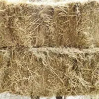 سرچینا و کاه