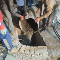 صدور گواهی نظام مهندسی صحت ارت -اندازه گیری ارت|خدمات پیشه و مهارت|تهران, مجیدیه|دیوار