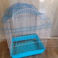 قفس پرنده|لوازم جانبی حیوانات|شیراز, شهرک بهار|دیوار