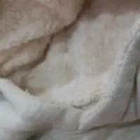 هودی دخترانه نو|لباس|خرم‌آباد, |دیوار