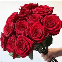 استخدام کارشناس فروش