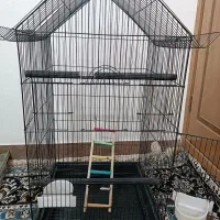 قفس درحد نو