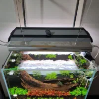 اکواریوم پلنت ریملس  60 سانت