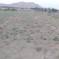 فروش-زمین-صحرایی