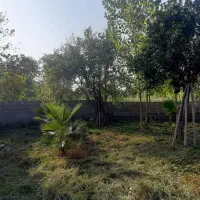 302-متر-زمین-در-شفت-با-کاربری-و-جواز-ساخت