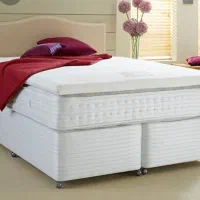 نمایندگی رویال تهران پیروزی 48