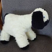 عروسک گوسفند، ببعی