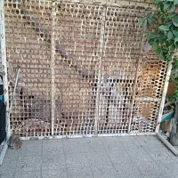 فروش تخت فلزی محکم