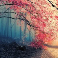 استخدام نیرو در باغ رستوران