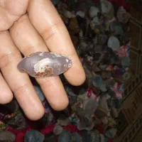سنگهای انگشتری راف و تراش نخورده|جواهرات|اهواز, کوی مهدیس|دیوار