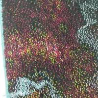 فرش چهارمتری|فرش|تهران, قیام|دیوار