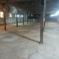 اجاره سوله و سالن مرغداری مناسب جهت انبار|اجارهٔ دفتر صنعتی، کشاورزی، تجاری|کنگاور, |دیوار