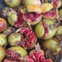 انار ترش