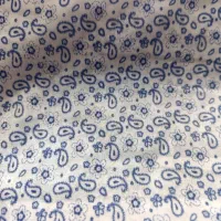 چادر رنگی نو سر نکرده|لباس|شیراز, محراب|دیوار