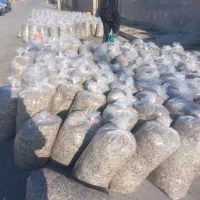 فروش چغندر دامی وانواع تفاله ها