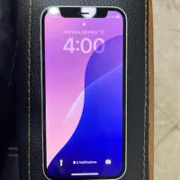12 mini