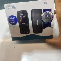 گوش ساده اصلی