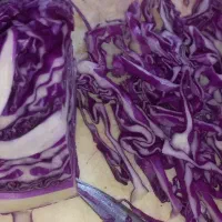 کاردستی چوب لباسی دست ساز|بندرخت و رختآویز|قزوین, |دیوار