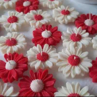 الاله تدی زیبا