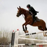 باشگاه سوارکاری در قلب کردان