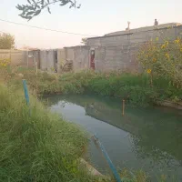 نیازمند سرمایه گذار