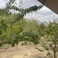 باغ شهری سی سخت امتیاز آب وبرق وگاز|فروش زمین و ملک کلنگی|سی‌سخت, |دیوار