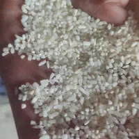 مرکز فروش نیم دانه و برنج عنبربو لیزر شده شوشتر