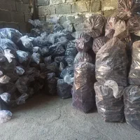 تولید و پخش زغال و هیزم|کوهنوردی و کمپینگ|کرج, آتشگاه|دیوار