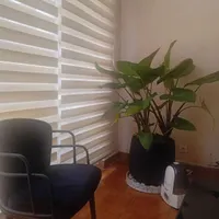 گل بابا آدم
