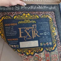 فرش۱۲|فرش|آستانه اشرفیه, |دیوار