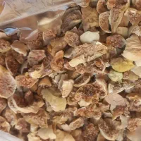 انجیر چیپسی|خوردنی و آشامیدنی|قم, شهرک مهدیه|دیوار