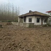 14300متر-مسکونی-و-باغات-داخل-طرح-سند-تک-برگ
