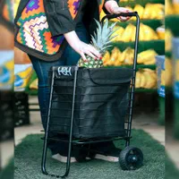 چرخ خرید تاشو|ظروف نگهدارنده، پلاستیکی، یکبارمصرف|ری, حمزهآباد|دیوار