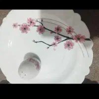 ارکوپال نو گل صورتی|ظروف سرو و پذیرایی|شیراز, عادل آباد|دیوار
