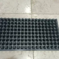 سینی کشت نشا