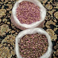 گل سرخ طبیعی  ارگانیک  غنچه وبرگ خوش عطر وبو