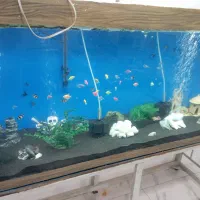 فروش اکواریوم 2متری