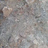 کود گوسفندی  کاملا پوسیده