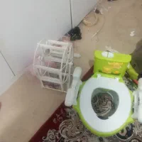 صندلی الاکلنگ.صندلی جیش بچه|اسباب و اثاث بچه|سنندج, |دیوار