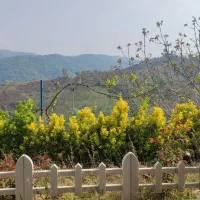 ویلا-باغ-خوش-منظره-در-شمال