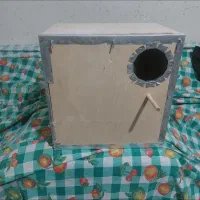 لانه گرینچیک