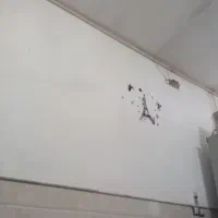 بن 1ملیونی خرید