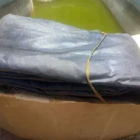 چادر عشایری برزنتی با پایه ثابت