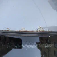 سمند xu7 مدل 84|خودرو سواری و وانت|قم, شاه احمد قاسم|دیوار