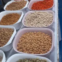 فروش بادام زمینی ونبات به صورت عمده وخرده