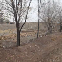 فروش ملک کشاورزی و دامداری  شاهنامه کمربند سبز