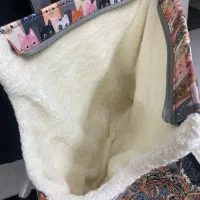 کیف حمل گربه و سگ|لوازم جانبی حیوانات|شاهین‌شهر, دهخدا|دیوار