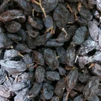 فخری و کشمش|خوردنی و آشامیدنی|میاندوآب, |دیوار